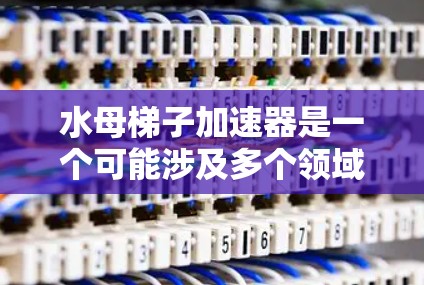水母梯子加速器是一个可能涉及多个领域的概念,其具体含义和应用取决于上下文。以下是对该概念的详细分析