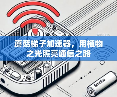 蘑菇梯子加速器，用植物之光照亮通信之路