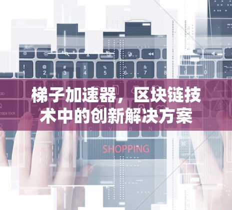 梯子加速器，区块链技术中的创新解决方案