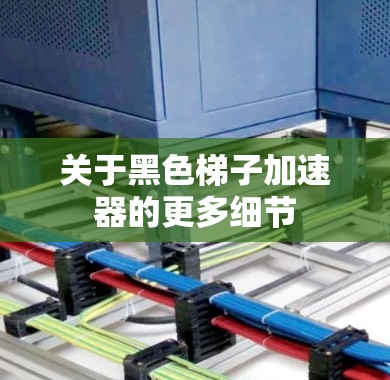 关于黑色梯子加速器的更多细节
