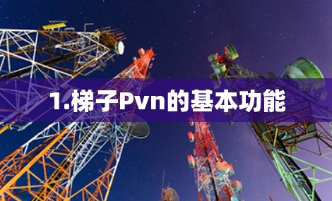 1.梯子Pvn的基本功能 1.梯子Pvn的基本功能