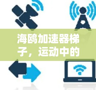 海鸥加速器梯子,运动中的智能伙伴 海鸥加速器梯子,运动中的智能伙伴