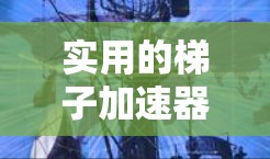 实用的梯子加速器推荐包括以下几个工具,这些工具可以帮助用户快速检测、记录和维护梯子,节省时间和成本 实用的梯子加速器推荐包括以下几个工具,这些工具可以帮助用户快速检测、记录和维护梯子,节省时间和成本