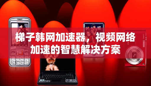 梯子韩网加速器，视频网络加速的智慧解决方案