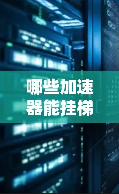 哪些加速器能挂梯子？