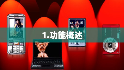 1.功能概述