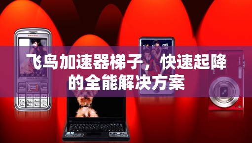 飞鸟加速器梯子，快速起降的全能解决方案
