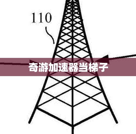 奇游加速器当梯子 奇游加速器当梯子