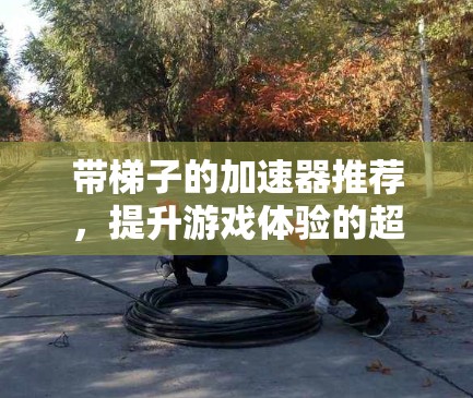 带梯子的加速器推荐,提升游戏体验的超强道具 带梯子的加速器推荐,提升游戏体验的超强道具
