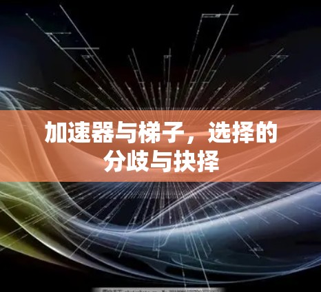加速器与梯子,选择的分歧与抉择 加速器与梯子,选择的分歧与抉择