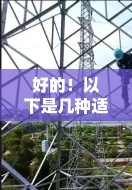 好的!以下是几种适合提升计算机性能的PC梯子加速器推荐 好的!以下是几种适合提升计算机性能的PC梯子加速器推荐