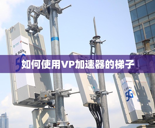 如何使用VP加速器的梯子 如何使用VP加速器的梯子