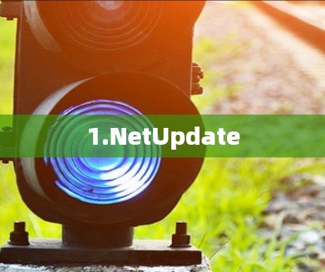 1.NetUpdate