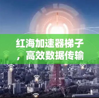 红海加速器梯子,高效数据传输的关键工具 红海加速器梯子,高效数据传输的关键工具