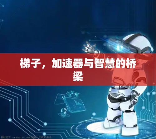 梯子,加速器与智慧的桥梁 梯子,加速器与智慧的桥梁