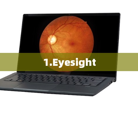 1.Eyesight