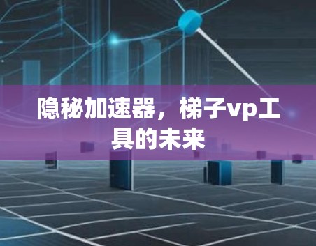 隐秘加速器,梯子vp工具的未来 隐秘加速器,梯子vp工具的未来