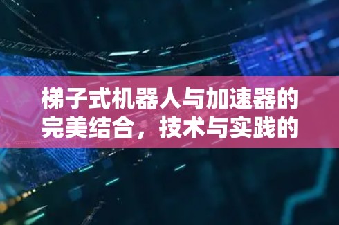梯子式机器人与加速器的完美结合,技术与实践的创新 梯子式机器人与加速器的完美结合,技术与实践的创新