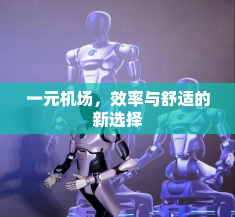 一元机场,效率与舒适的新选择 一元机场,效率与舒适的新选择