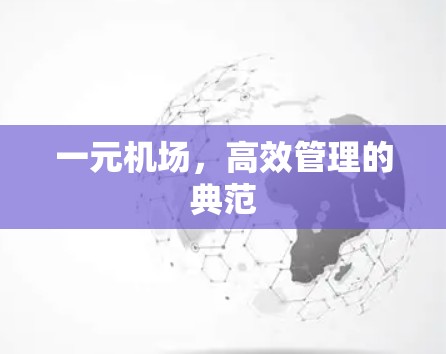 一元机场,高效管理的典范 一元机场,高效管理的典范