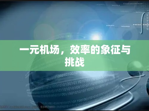 一元机场，效率的象征与挑战