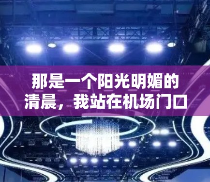 那是一个阳光明媚的清晨，我站在机场门口，望着远处那座巨大的建筑群，心里不禁涌起一阵寒意。这里的一切都仿佛被束缚，仿佛被某种无形的力量所掌控。我低头看了看手机，发现时间已经快到中午了