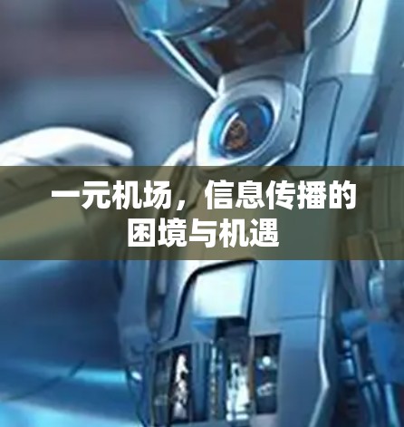 一元机场,信息传播的困境与机遇 一元机场,信息传播的困境与机遇