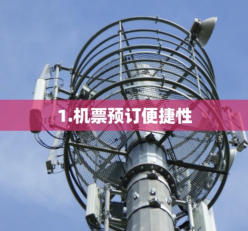 1.机票预订便捷性 1.机票预订便捷性