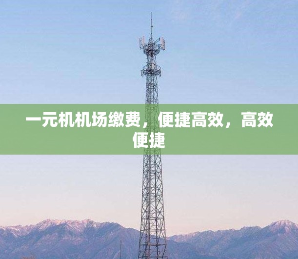 一元机机场缴费，便捷高效，高效便捷
