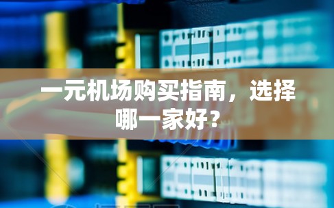 一元机场购买指南,选择哪一家好? 一元机场购买指南,选择哪一家好?