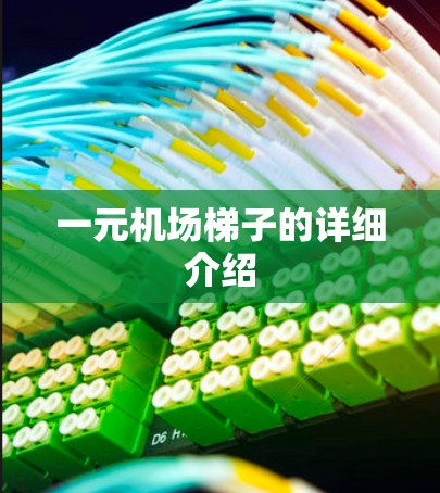 一元机场梯子的详细介绍