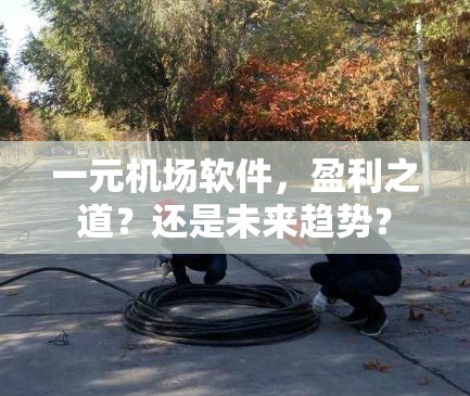 一元机场软件，盈利之道？还是未来趋势？