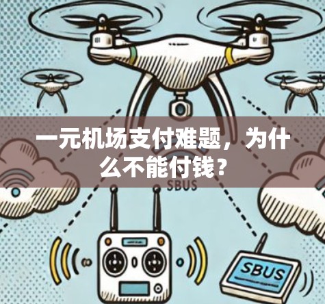 一元机场支付难题，为什么不能付钱？