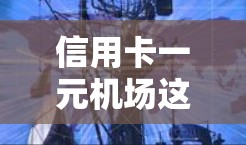 信用卡一元机场这个词组可能指的是通过信用卡消费一元即可享受机场服务或优惠。以下是一些可能的解释和建议