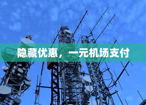 隐藏优惠，一元机场支付