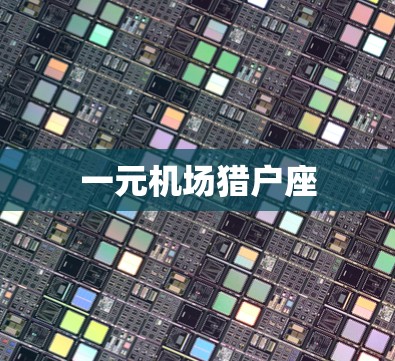 一元机场猎户座 一元机场猎户座