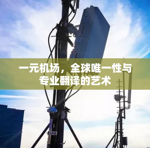 一元机场,全球唯一性与专业翻译的艺术 一元机场,全球唯一性与专业翻译的艺术