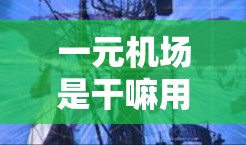 一元机场是干嘛用的 一元机场是干嘛用的