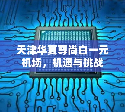 天津华夏尊尚白一元机场,机遇与挑战 天津华夏尊尚白一元机场,机遇与挑战