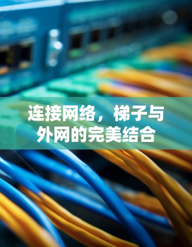 连接网络,梯子与外网的完美结合 连接网络,梯子与外网的完美结合