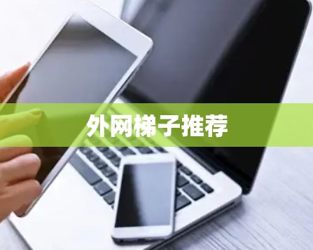 外网梯子推荐