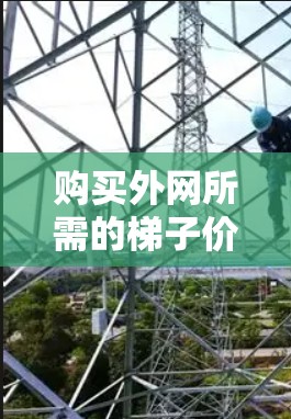 购买外网所需的梯子价格取决于几个因素,包括梯子的材质、长度、数量以及需要的数量。以下是一些常见的价格范围和推荐 购买外网所需的梯子价格取决于几个因素,包括梯子的材质、长度、数量以及需要的数量。以下是一些常见的价格范围和推荐