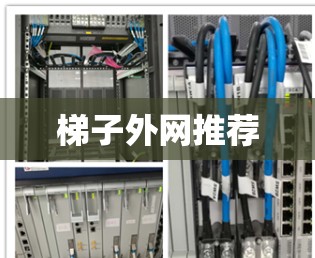 梯子外网推荐
