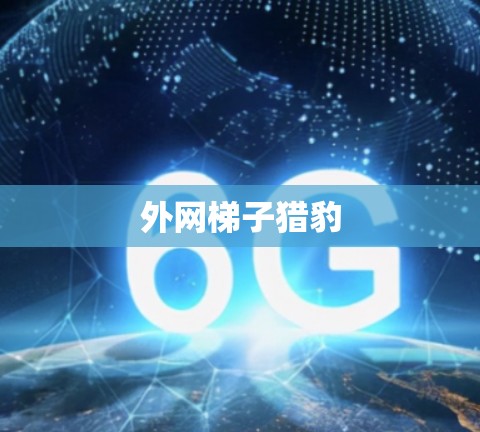 外网梯子猎豹