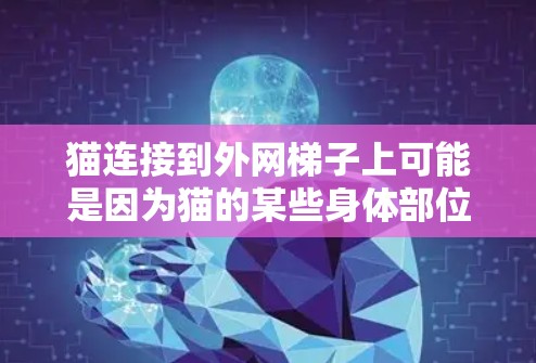 猫连接到外网梯子上可能是因为猫的某些身体部位被占用,如猫脚、猫头或猫狗猫装饰品。解决方法如下 猫连接到外网梯子上可能是因为猫的某些身体部位被占用,如猫脚、猫头或猫狗猫装饰品。解决方法如下