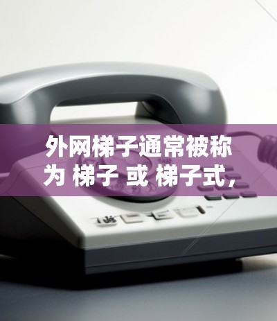 外网梯子通常被称为 梯子 或 梯子式，具体名称可能因地区或用途而有所不同。以下是一些常见的名称
