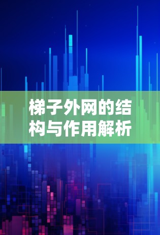 梯子外网的结构与作用解析