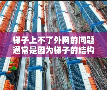 梯子上不了外网的问题通常是因为梯子的结构或使用方式存在不足。以下是可能的原因及解决方案 梯子上不了外网的问题通常是因为梯子的结构或使用方式存在不足。以下是可能的原因及解决方案