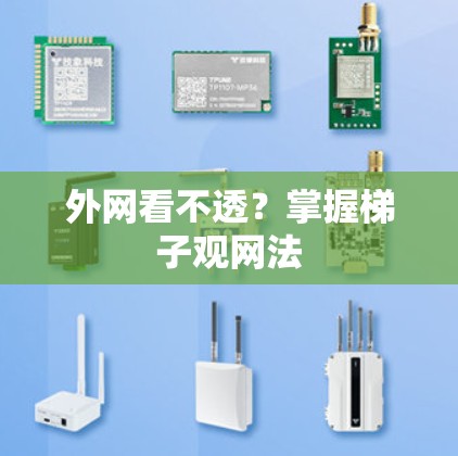 外网看不透？掌握梯子观网法