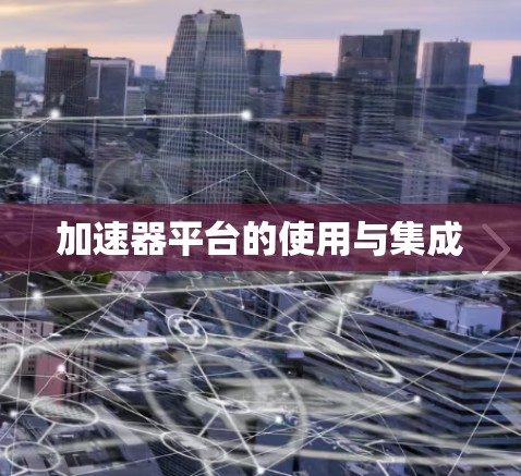 加速器平台的使用与集成 加速器平台的使用与集成